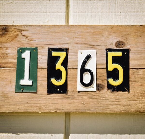 ip address 081 63 253 200
