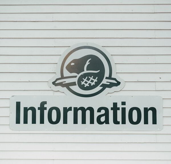 ip address 182 74 54 122 guide