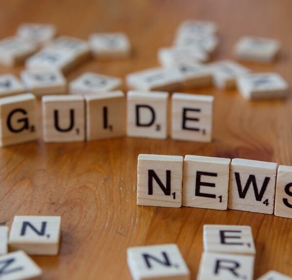 what is 3332699094 guide